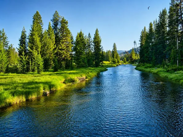 Secesh River Rd, Pollock, ID 83547