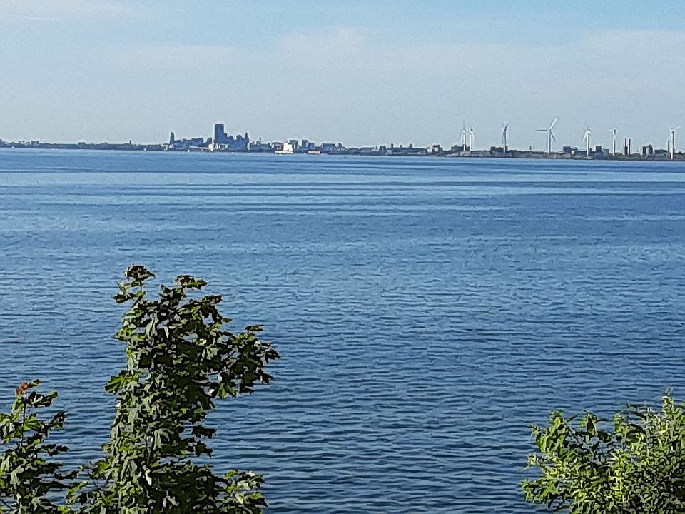 View of Buffalo