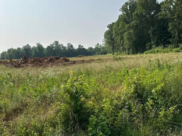 TRACT 20 Hays Mill Rd, Elkmont, AL 35620