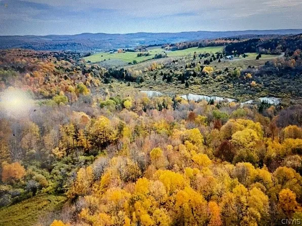 Talbot Rd, Plainfield, NY 13491