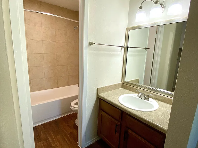 B1 Master Vanity/Bathroom