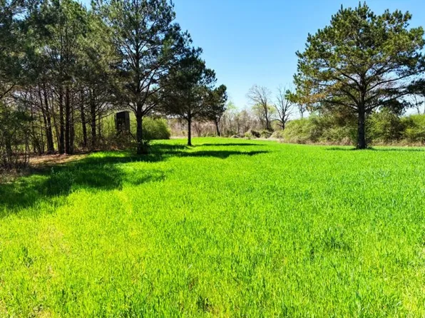 11445 Camp Oliver Rd, Adger, AL 35006