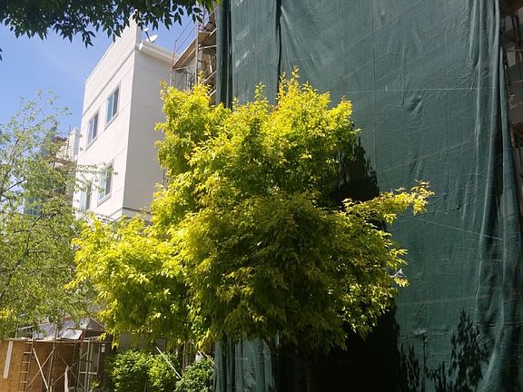 3rd image of 1174 E 3300 S APT 217