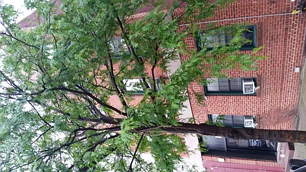 Rented by Signature Property Realty