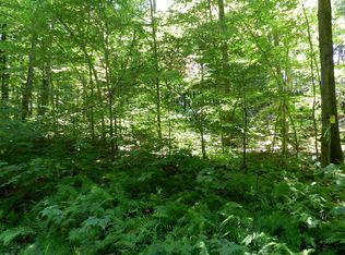 2153 Painter Run Rd, Tioga, PA 16946