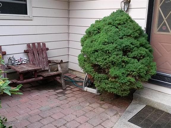 3rd image of 5049 Lakewood Dr