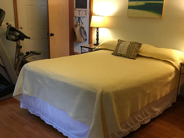 Master Bedroom - Treadmill can stay or go.