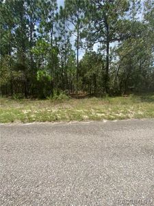 8938 N Farrington Dr, Citrus Springs, FL, 34433