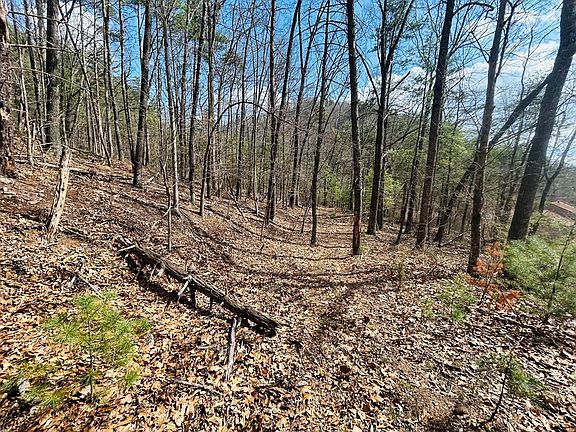 3rd image of LOT 118 Julia Simpkins Rd