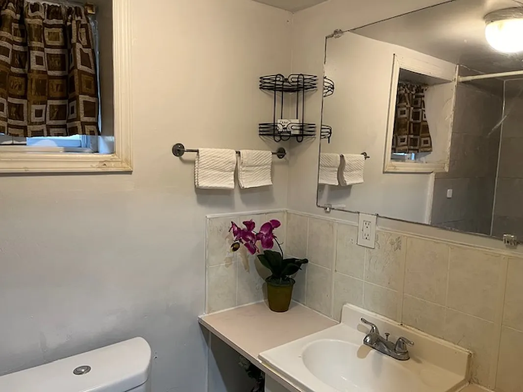 290 Born Street BASEMENT