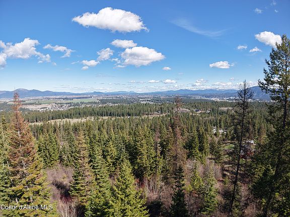 5th image of Nna Rooster Rd