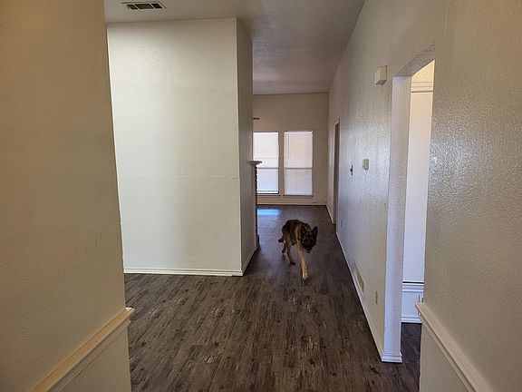 Entering from the front door.
Kitchen to the left, second bed and bathroom to the right.

That's Samson. 
He's a good boy.