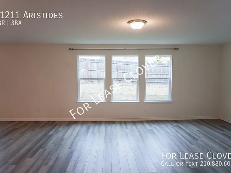 11211 Aristides — Photo 6