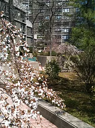 Rented by Realty Operations Group