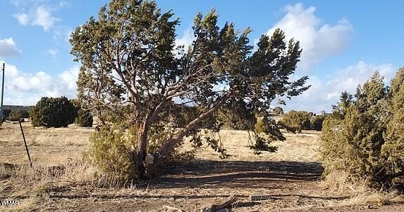 2nd image of 63 County Road 8019