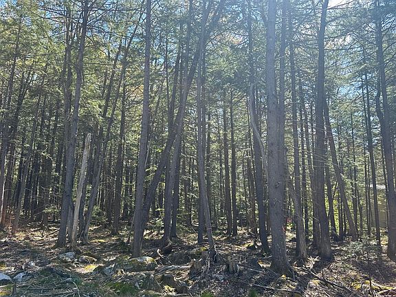 4th image of Lot 14 Blue Jay Lane