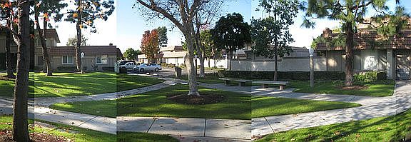 View from front door