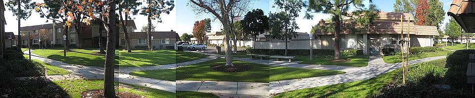 View from front door