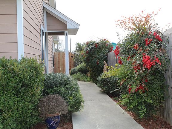 2nd image of 114 Amelia Ct