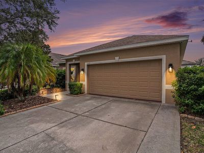 10125 Celtic Ash Dr, Ruskin, FL, 33573