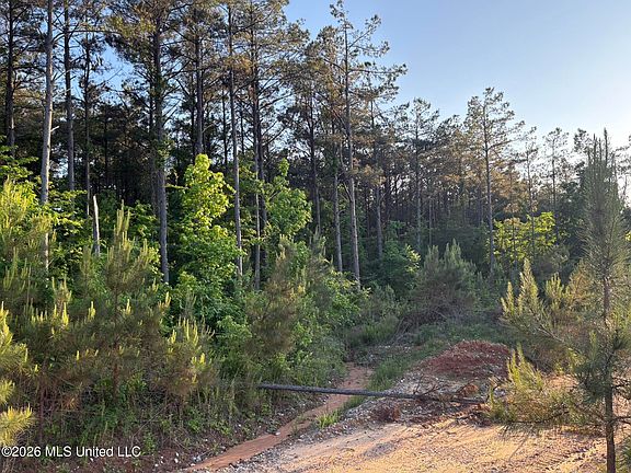 2nd image of Stewart Weir Rd