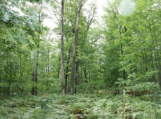 Balmes Trl, Grayling, MI 49738