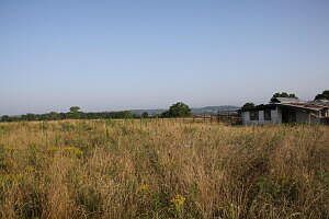 3rd image of County Road 807