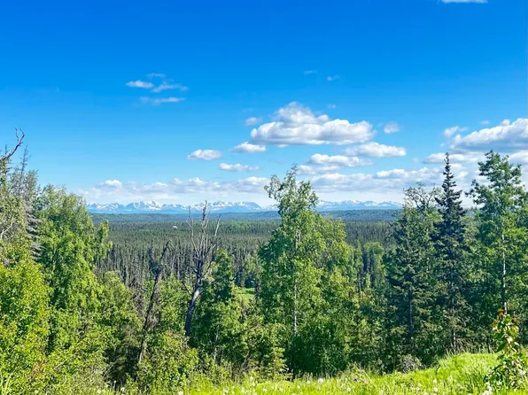 L4-B4 Blockade Glacier Rd, Kenai, AK 99611