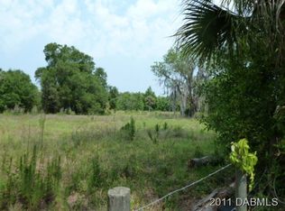 47 Ingham Rd, New Smyrna Beach, FL 32168