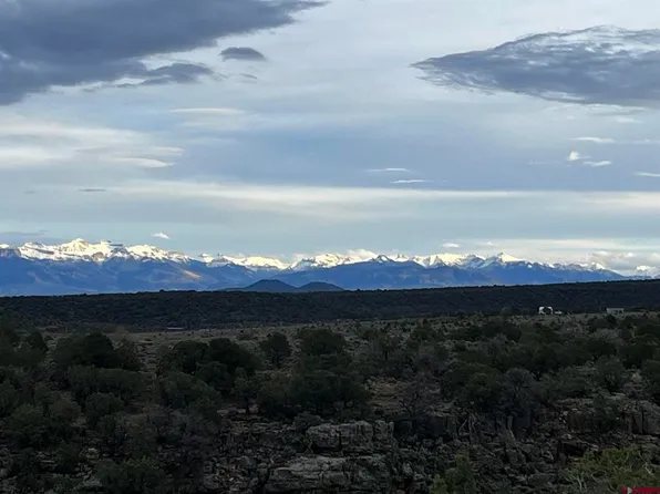 TBD Tres Coyotes Trail, Montrose, CO 81403