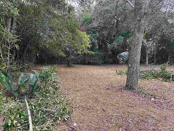 4th image of 4809 Hawkins Dr