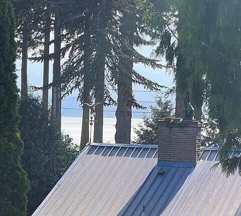 2nd image of 3688 Smugglers Cove Road