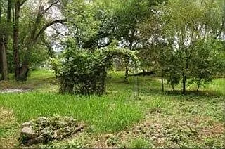 22835 W Long Grove Rd photo 1