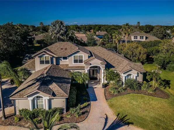 5439 Mira Vista Dr, Palm Harbor, FL 34685