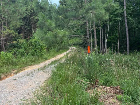 0 Union T Rd Tract 2, Talladega, AL 35160