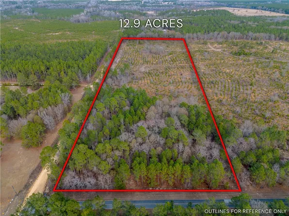 TRACT 1 Wilson Rd, Hawkinsville, GA 31036