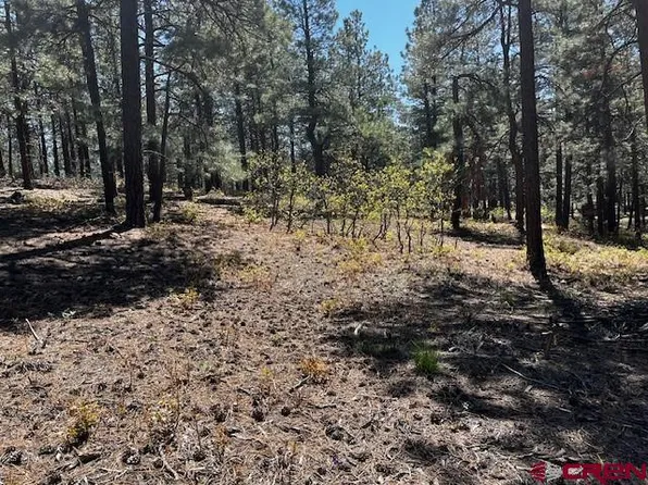 221 Badger Road, Bayfield, CO 81122