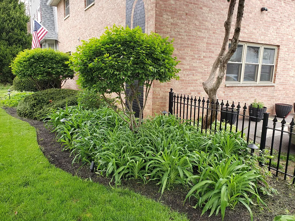 Great Neighbors!