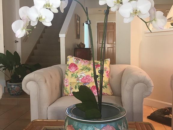 Living room corner