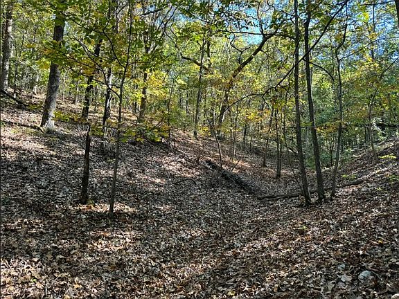 5th image of 6620 N Starr Ridge Rd