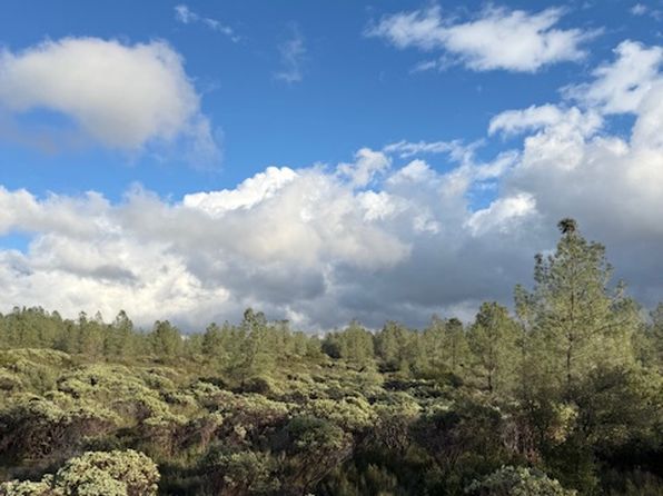 (undisclosed Address)