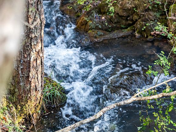 2nd image of 150 Clear Branch Rd N