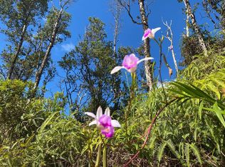 Hawaii Rd LOT 254, Pahoa, HI 96778