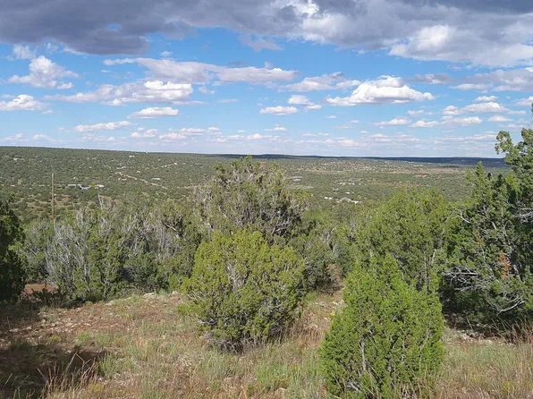 33 County Rd, Concho, AZ 85924