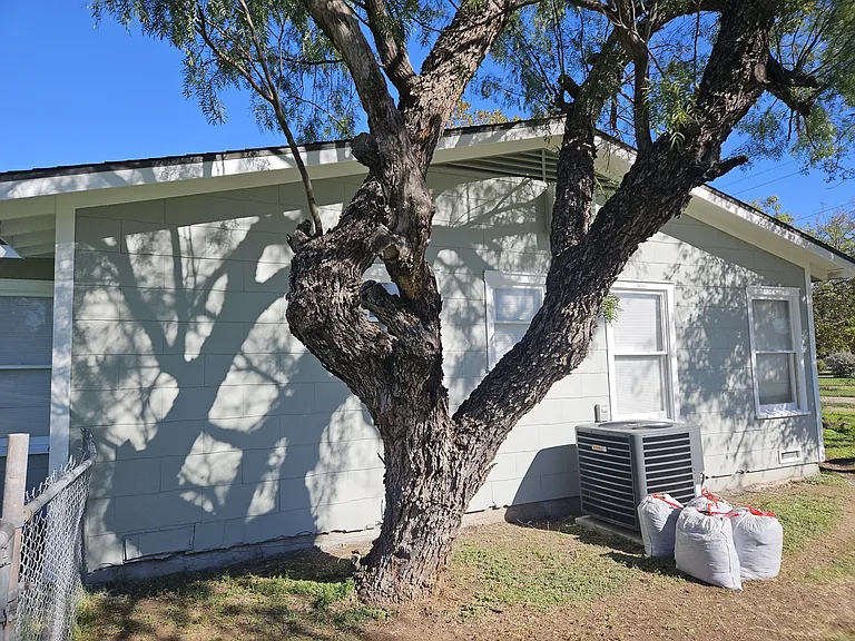 Right side of the house