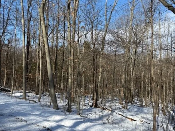 0 Connecticut Hill Rd, Newfield, NY 14867