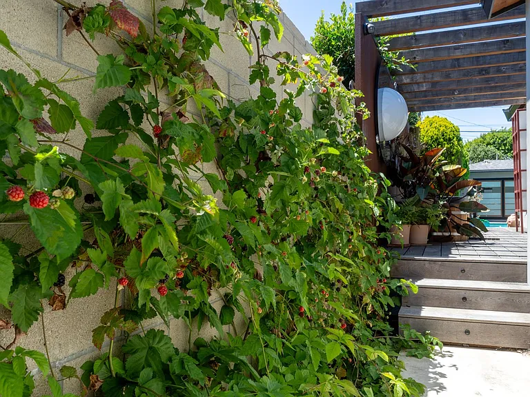 2211 Ashland Ave — Photo 40