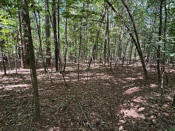 5th image of TBD Pearson Rd.