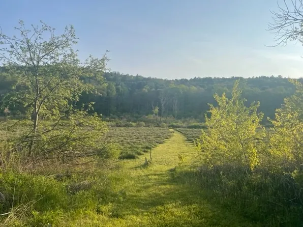 (undisclosed Address), Guilford, NY 13780