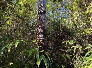 Road 5 LOT 3986, Kurtistown, HI 96760